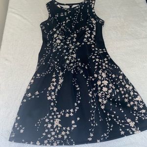 🎁 Ann Taylor dress 👗